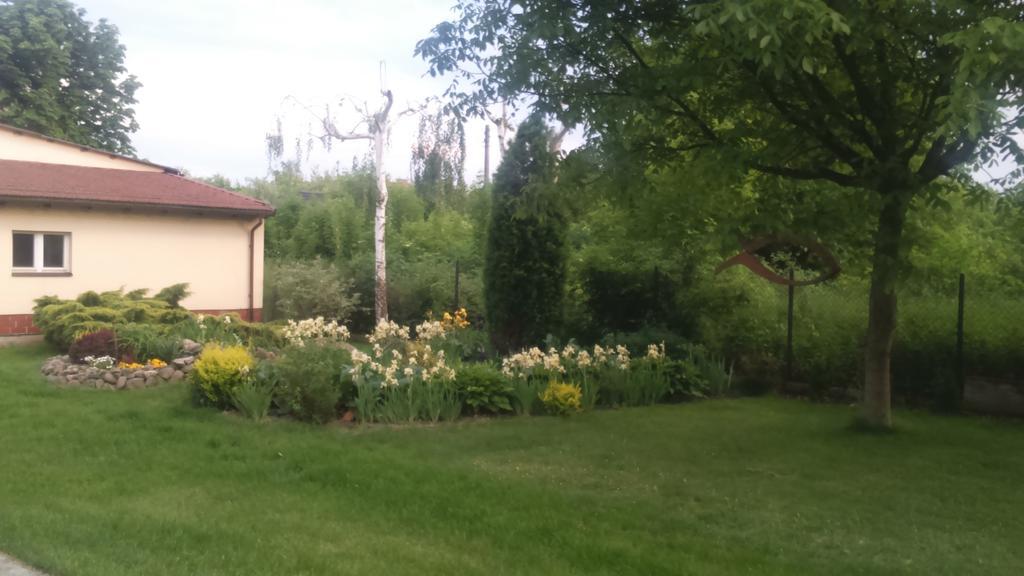 Apartamenty Warka Exterior photo